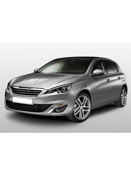 PEUGEOT 308 Silver