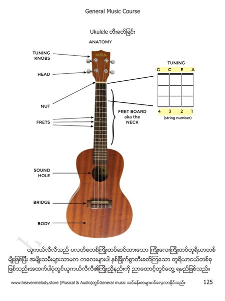 ukulele ANATOMY